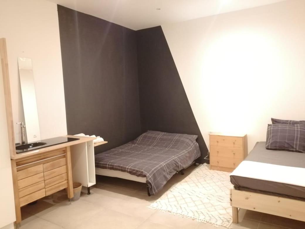 Loft Viarhona, Grand Loft En Centre-Ville Lyon Exterior photo
